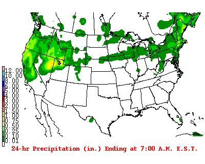 precipitation totals 2020